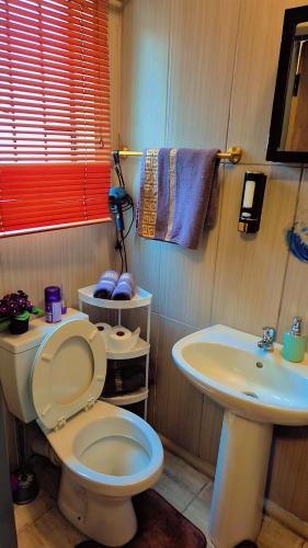 a bathroom with a white toilet and a sink at Little Haven! in Rustenburg