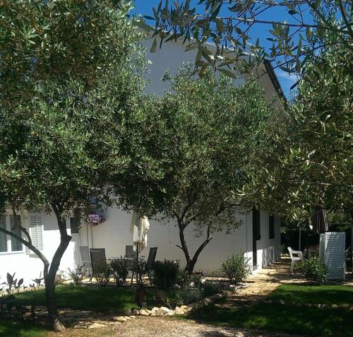 Apartments with garden