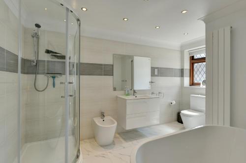 a bathroom with a shower and a sink and a toilet at Two Grooms Cottage Dunster in Dunster