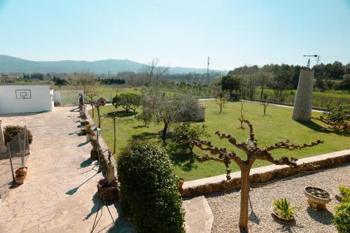 a garden with a bunch of trees and bushes at Finca el Placer in Ulldecona