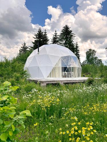 a large white dome building in a field of flowers at Bubble House glamping telk in Sõmeru