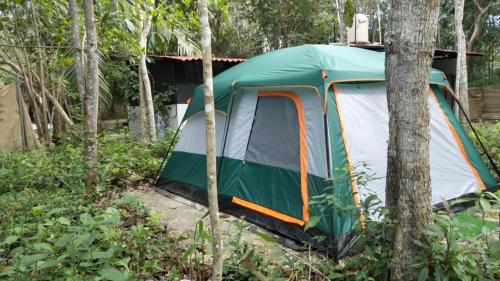 a green and white tent in the woods at BACALAR INN Hotel in Bacalar