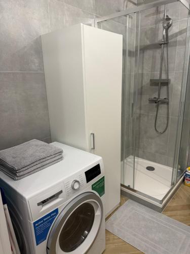 a washing machine in a bathroom with a shower at Apartament Przy Palmiarni in Wałbrzych