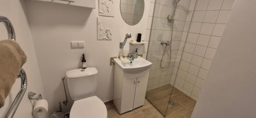a bathroom with a toilet and a sink and a shower at Vidmantės apartamentai in Palanga