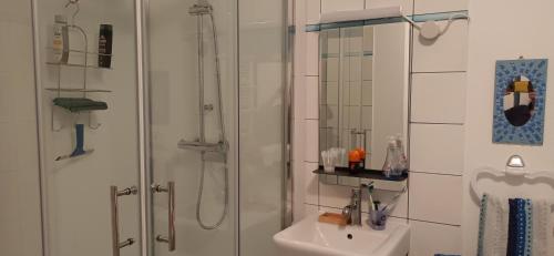 un bagno con doccia e lavandino di Apparthaubourdin a Haubourdin