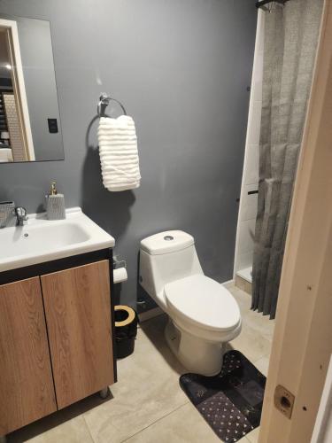a bathroom with a white toilet and a sink at Tiny House Sublime in Trinidad