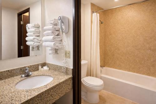 a bathroom with a sink and a toilet and a shower at Lone Tree Inn in Sidney