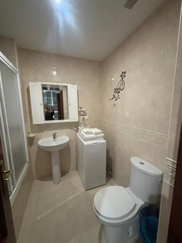 a bathroom with a toilet and a sink at Apartamentos Amy 5 in Huelva