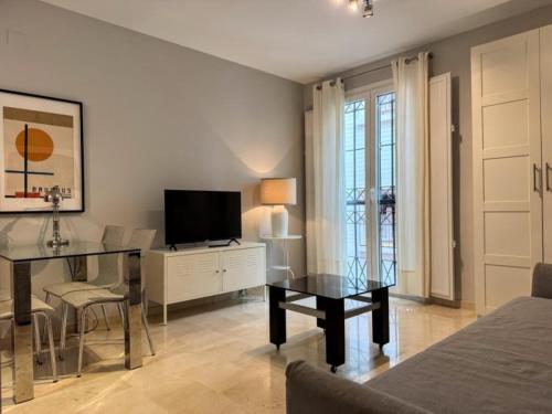 ISG Apartments Conde de Ibarra 15