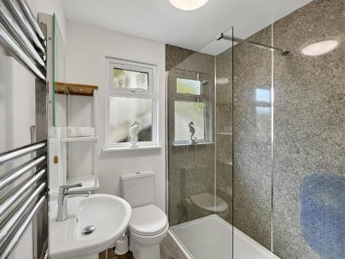 a bathroom with a shower and a toilet and a sink at West Wind Porlock in Porlock