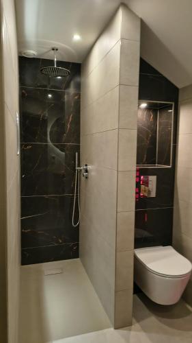 a bathroom with a shower with a toilet in it at Cetti's Lodge - met privé sauna in Nieuwkoop