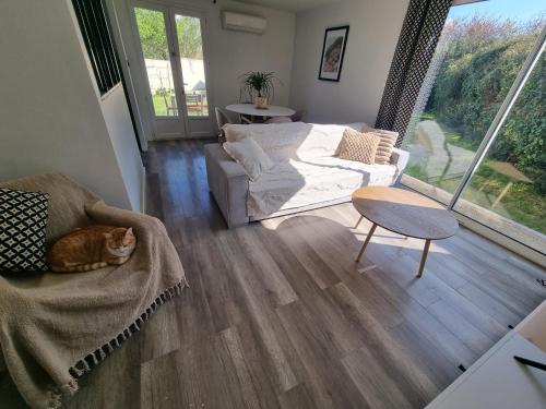 a living room with a cat laying on a couch at La Maison des Muses in Arles
