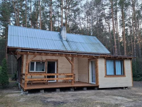 a small cabin with a metal roof in the woods at Leśna chatka in Wilga