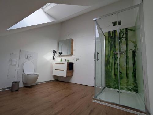a bathroom with a shower and a toilet and a sink at LechApartments in Kaufering
