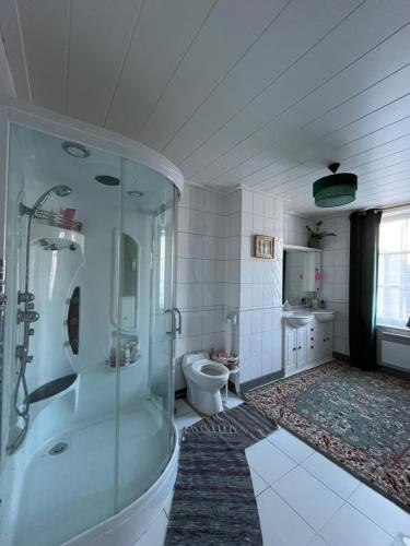 a bathroom with a shower and a toilet at Maison de caractère au calme en pleine campagne in Rollancourt