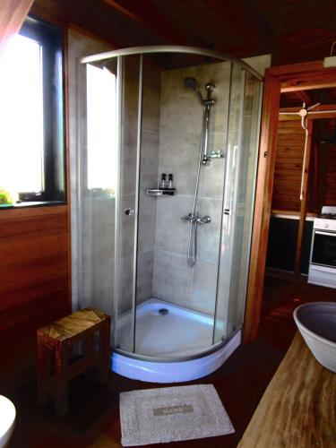 a bathroom with a shower with a glass door at Torii Cabañas de Montaña in Villa Carlos Paz