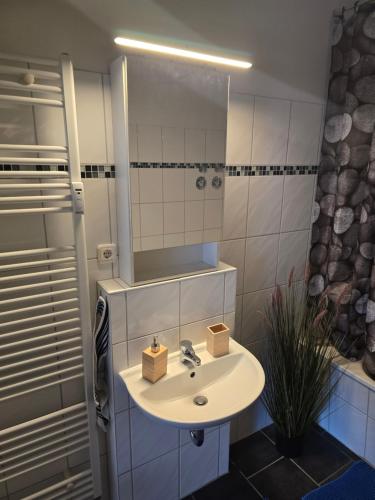 a bathroom with a sink and a mirror at TechisFerienWohnung in Magdeburg
