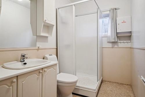 a bathroom with a shower and a toilet and a sink at Alam,s Villa in Kabelvåg