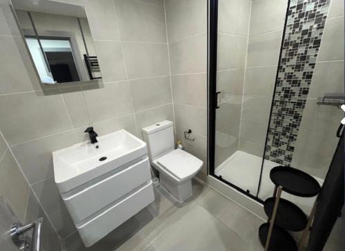 a bathroom with a toilet and a sink and a shower at 1 Bedroom Luxury Apartment Winkley Square in Preston