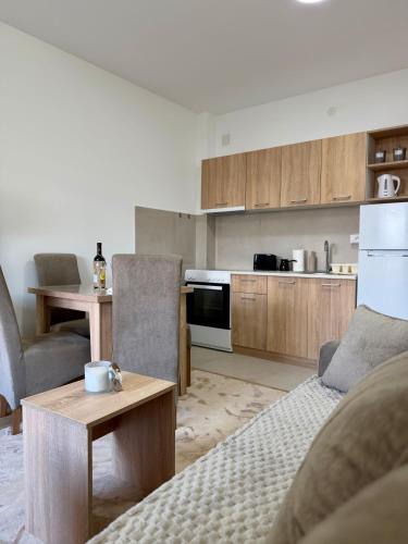 a kitchen and living room with a couch and a table at Apartman Kitanović 1 Vrnjačka Banja in Ruđinci