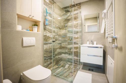 a bathroom with a toilet and a glass shower at Studio DORA SS in Stari Banovci