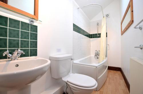 a white bathroom with a toilet and a sink at Nuthatch nr Huntsham in Tiverton