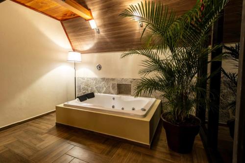 a bathroom with a tub and a potted plant at Villa de los Vientos in Cuetzalán del Progreso