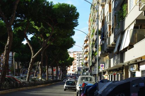 Appia Avenue 639