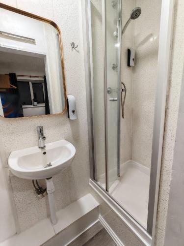 a bathroom with a sink and a shower at Small Compact Self Contained Studio Flat in Oxford