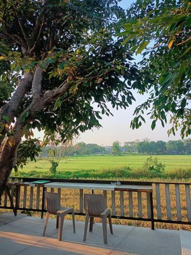 two chairs sitting under a tree next to a fence at Six Nature Resort in Chiang Rai