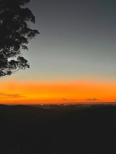 a sunset over the ocean with a tree in the foreground at Cloud 9 Eagle Heights - Cliff-Top, Ocean Sunrise, VIP Retreat in Mount Tamborine