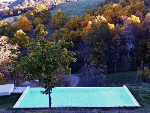 an empty swimming pool with a tree in the middle at Quinta das Colmeias in Lanção