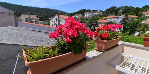 Apartment in Veli Losinj 15050