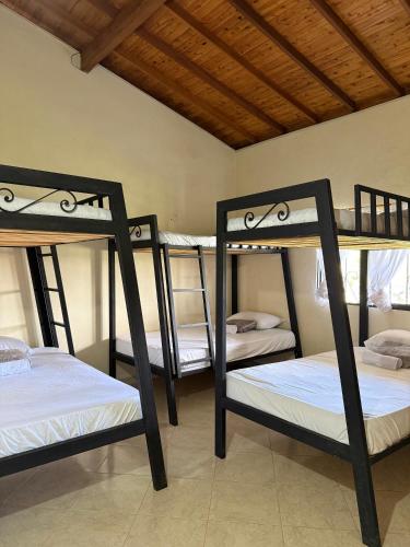 a room with three bunk beds in it at Finca María Bonita in Horizonte