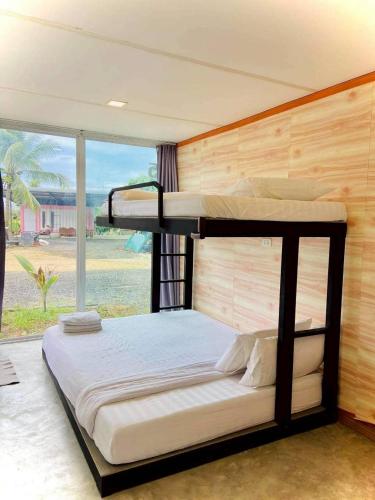 a bunk bed in a room with a window at innbox Chiangmai Hotel in Ban Si Ngam