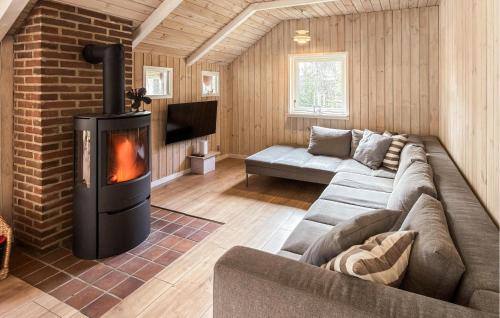 a living room with a couch and a fireplace at Beautiful Home In Ans By in Roe
