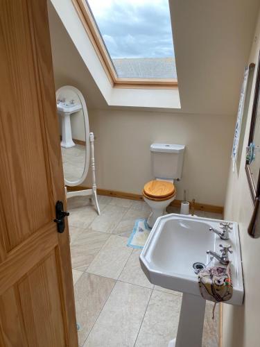 a bathroom with a toilet and a sink and a skylight at Grunkeys - PLEASE NOTE these are rooms in my home, not a separate property in Orkney