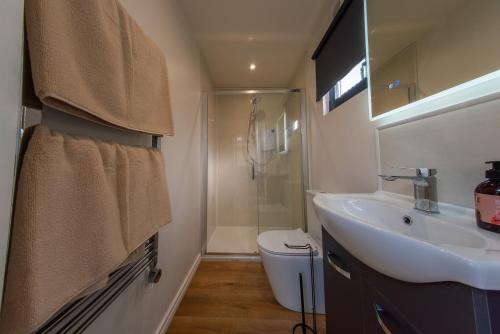 a bathroom with a sink and a shower at Cozy Apartment in Dublin