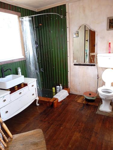 a bathroom with a sink and a shower and a toilet at Cruzo The House Bus in Takaka