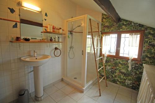 a bathroom with a shower and a sink at Les pierres du mas in La Porcherie