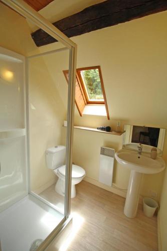 a bathroom with a toilet and a sink at Cirèges in Le Chalard