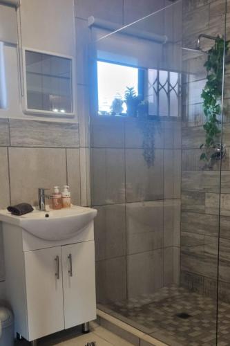 a bathroom with a shower and a sink and a mirror at Fynbos & Foam in Herolds Bay