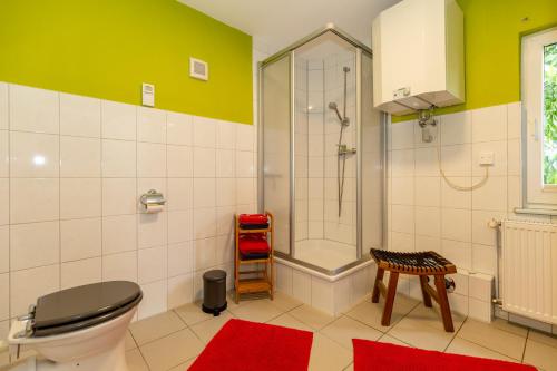 a bathroom with a shower and a toilet and red mats at Bungalow Becker "Am Feldrand" in Jennewitz