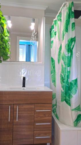 a bathroom with a sink and a shower curtain at Apartamento Chay in Málaga