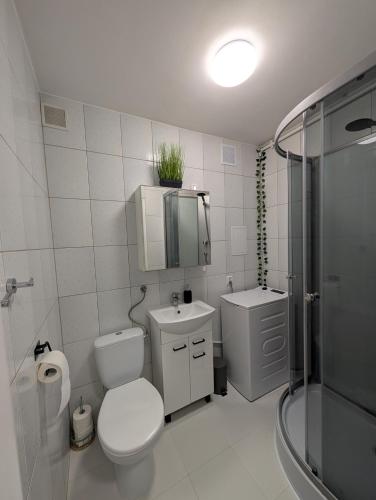 a bathroom with a toilet and a sink and a shower at Castle View Apartment in Malbork