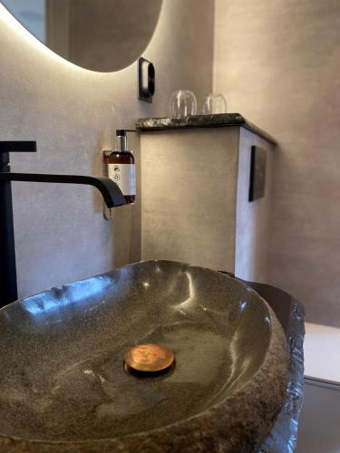 a bathroom with a sink with a coin on it at STF Korrö Gårdshotell in Linneryd