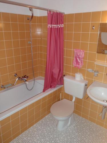 Ένα μπάνιο στο Hotel-Restaurant Stechelberg Bed & Breakfast