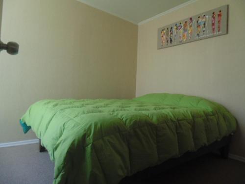 um quarto com uma cama com um edredão verde em Amoblados Copiapo em Copiapó