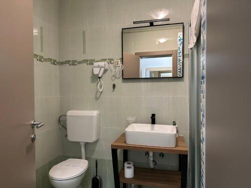a bathroom with a toilet and a sink and a mirror at Apartments Amela in Pula