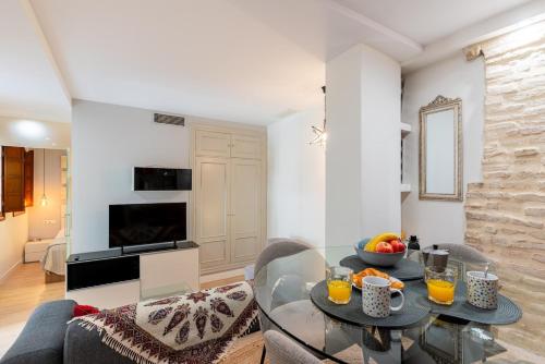 S46 Family apartment Seville Centro